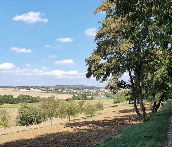 Waldrand runter nach Meckel, © TI Bitburger Land - Steffi Wagner