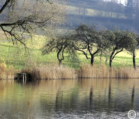 Schalkenmehrener Maar, © Klaus Niederprüm - klaus.niederpruem@online.de