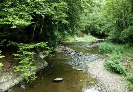 Wanderweg Eifel: Der Lieserpfad, © GesundLand Vulkaneifel / D. Ketz