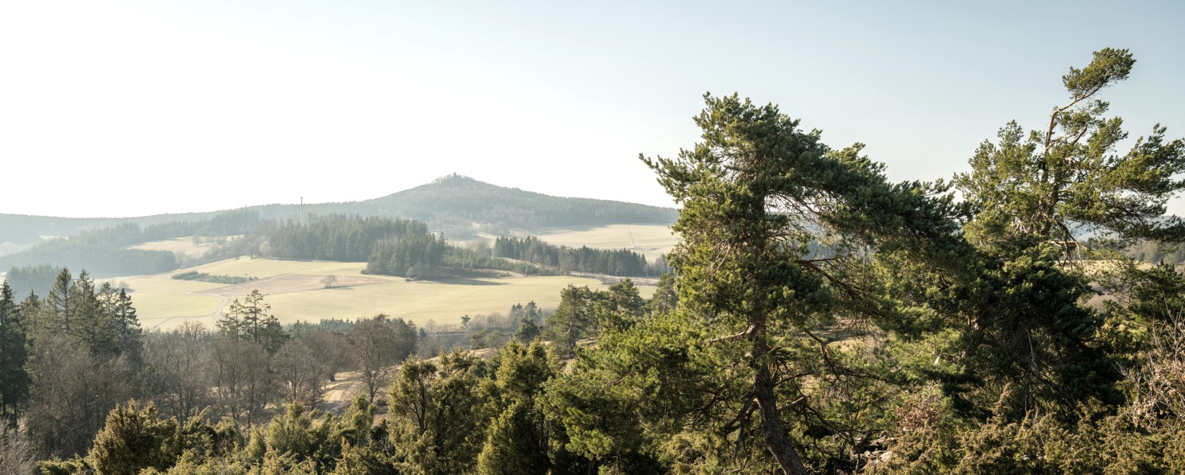 Ausblick in die Eifel und auf Wacholder am Traumpfad Bergheidenweg, © Eifel Tourismus GmbH, D. Ketz