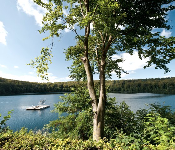 Am Pulvermaar, © Eifel Tourismus GmbH, D. Ketz