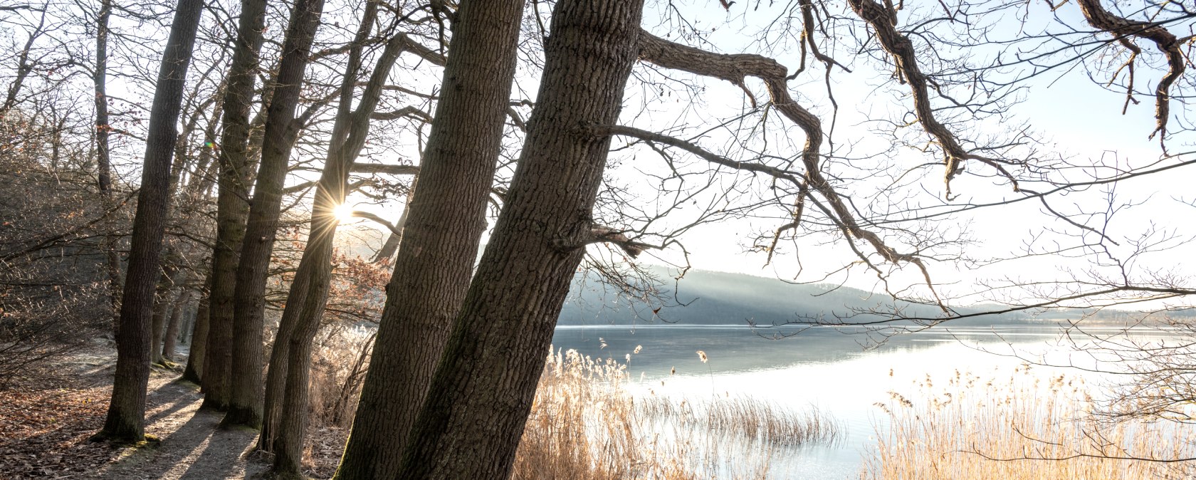 Stimmungsvolle Momente am Laacher See, © Eifel Tourismus GmbH, D. Ketz