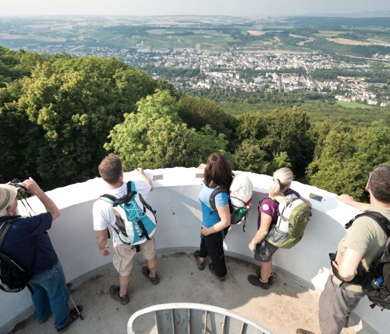 AhrSteig Neuenahrer-Berg, © Ahrtaltourismus e.V., Dominik Ketz