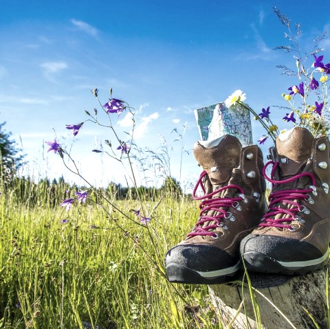 Chaussures de randonnée, © bietau