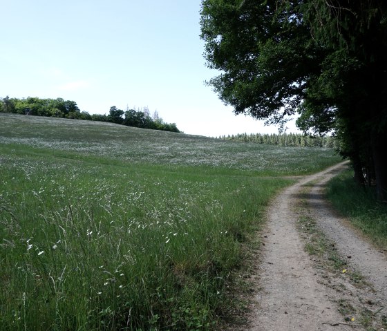 Ahrsteig, © Landhotel Ewerts