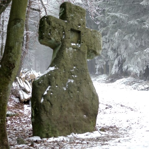 Fraubillenkreuz im Winterwald, © Elke Wagner