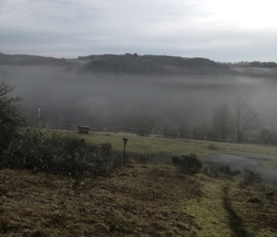 Eifel im Nebel