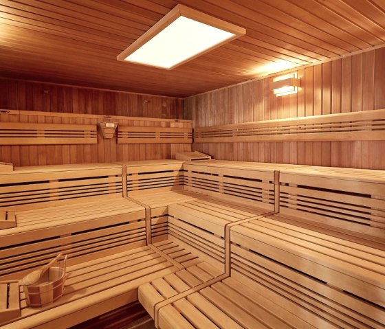 Sauna Mausefalle