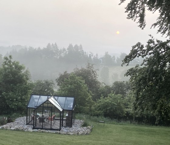 Glashaus im Morgennebel, © Judith Pütz-Kurth