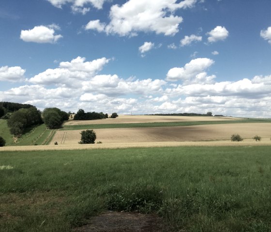 Schöner Weitblick über die Landschaft von Metterich, © Tourist-Information Bitburger Land