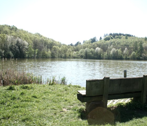 Bank am Immerather Maar, © GesundLand Vulkaneifel/ H. Michels