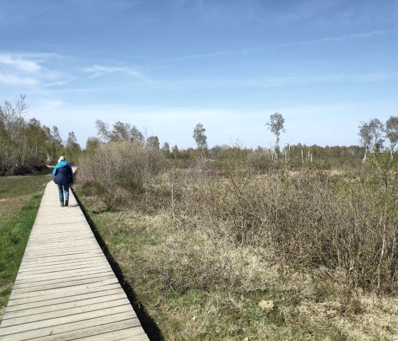 Über Stege durch die Drover Heide., © Sophia Eckerle