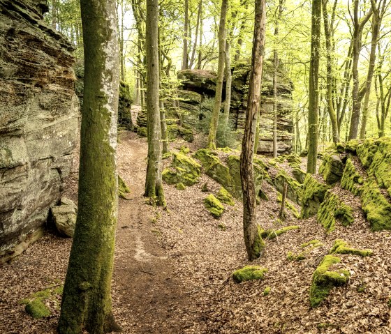 bei der Lauschtour Grüne Hölle geht es durch bizarre Felsenlandschaft, © Eifel Tourismus GmbH, Dominik Ketz