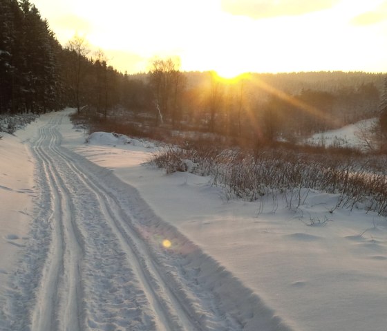 Verschneiter Weg, © Nationalpark Eifel