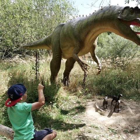 Ausflug mit Kindern im Dinosaurierpark Teufelsschlucht, © Felsenland Südeifel GmbH