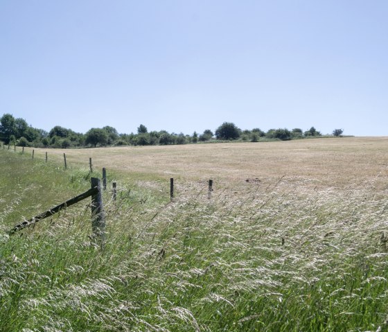 Wiesen, Eifelspur Silberschatz, © Nordeifel Tourismus