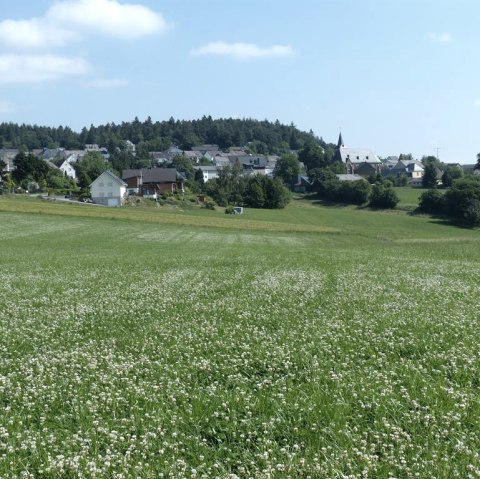 Blick auf Wanderath, © Foto: Verbandsgemeinde Vordereifel, Quelle: Touristik-Büro Vordereifel