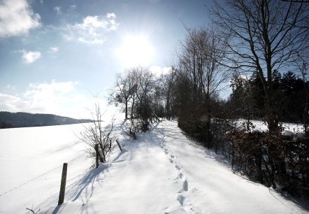 Winter in der Eifel mit Schnee, © Eifel Tourismus GmbH / Janssen + de Kievieth