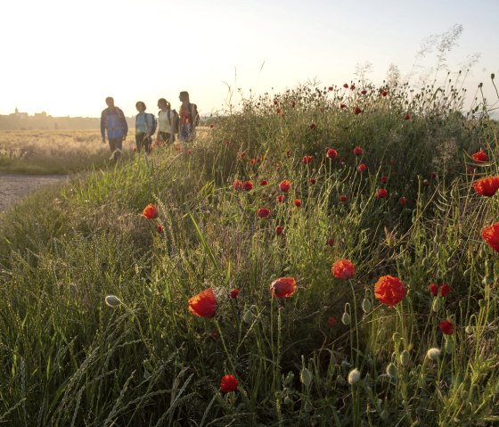 Wanderer an einer Wegekreuzung zur Meniger Römerreich Panoramaaussichten, © Kappest_REMET