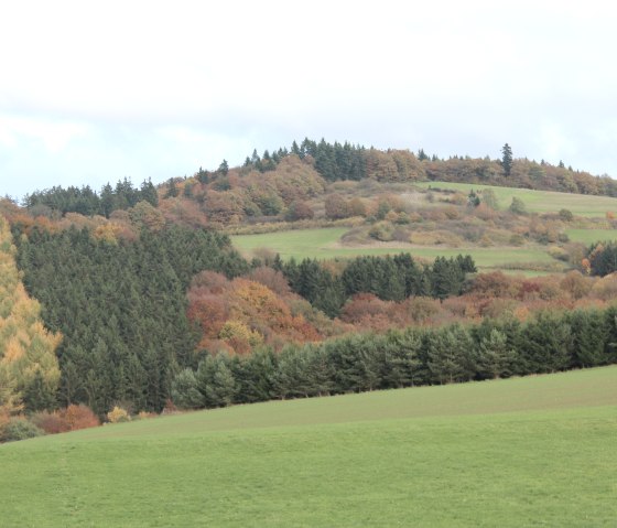 Wirftbach-Schleife_Herbstimpression, © Walter Schmitz