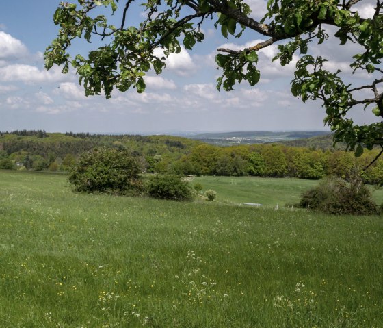 Eifelspur-Kneippwanderweg - Naturschutzgebiet Bad Münstereifeler Wald, © Nordeifel Tourismus GmbH