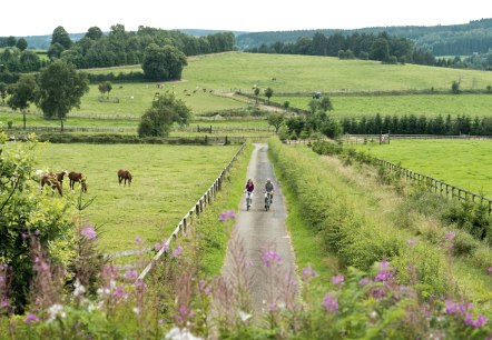 Radtour Eifel: Vennbahn, Wolfsbusch Montenau, © vennbahn.eu