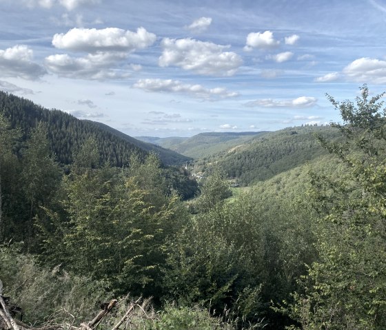 Blick vom Wanderweg auf Herschbach