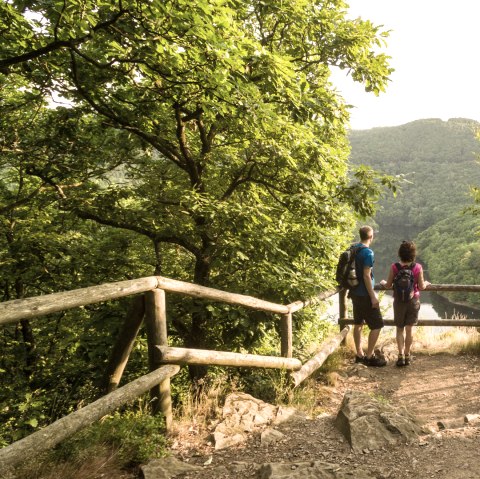 Blick auf die Urfttalsperre, © Eifel Tourismus GmbH, D. Ketz