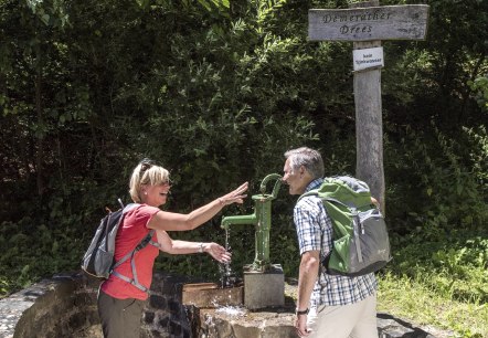 Demerather Drees, © Natur- und Geopark Vulkaneifel GmbH