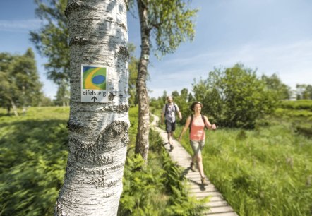 Wanderung auf dem Eifelsteig, © Eifel Tourismus GmbH - Dominik Ketz