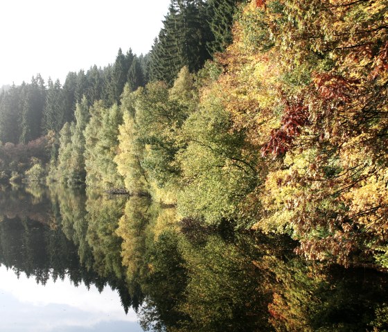 Perlbachtalsperre bei Monschau, © Heike Becker