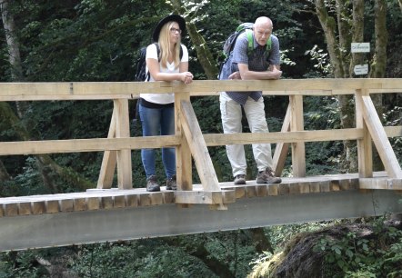 Germanenbrücke Kleine Kyll, © GesundLand Vulkaneifel GmbH