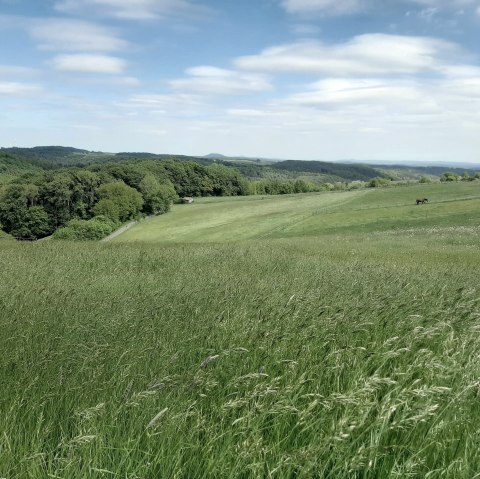 Eifel-Blick Nonnenbacher Weg, © Gemeinde Blankenheim