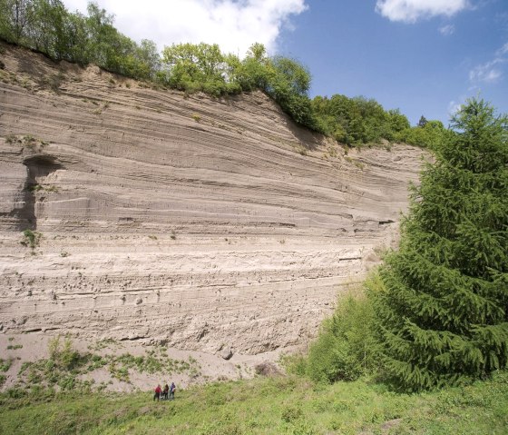 Wingertsbergwand, © Kappest