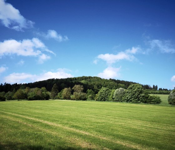 Aussicht vom Ernstberg, © GesundLand Vulkaneifel GmbH