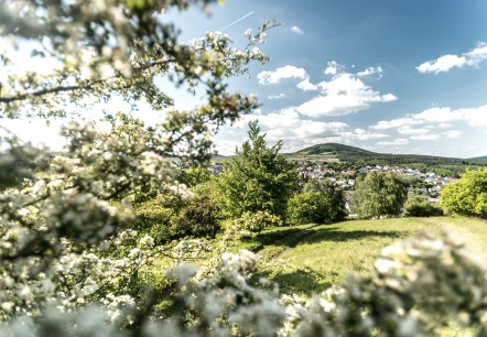 Ausblick auf Ettringen, © Rheinland-Pfalz Tourismus GmbH, D. Ketz