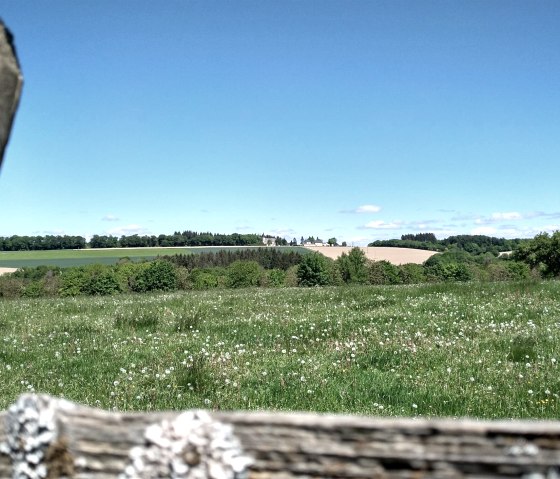 Blick nach Buchholz, © Franziska Stolz