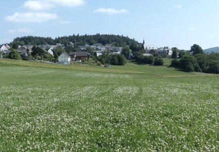 Blick auf Wanderath, © Foto: Verbandsgemeinde Vordereifel, Quelle: Touristik-Büro Vordereifel