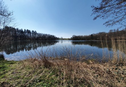 Das Holzmaar, © GesundLand Vulkaneifel GmbH