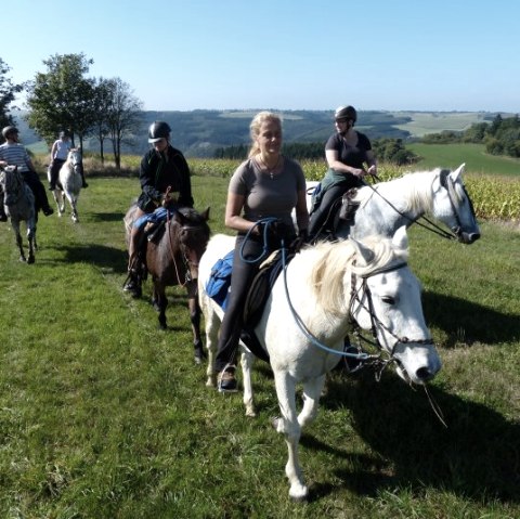 Eifel zu Pferd: Wanderreiten durch die Natur, © Eife zu Pferd e.V.