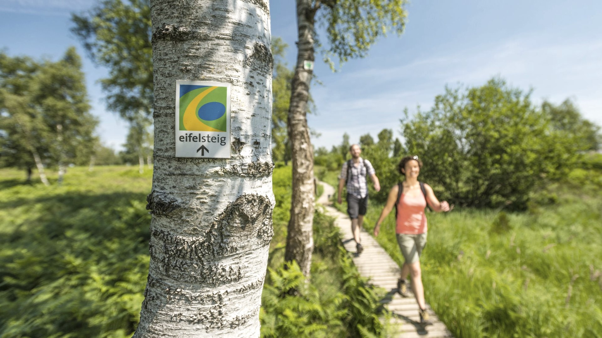 Wanderweg Eifelsteig, © Eifel Tourismus GmbH, D. Ketz