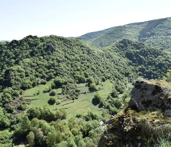 Wandern in den Weinbergen bei Mayschoss, © Pannhausen