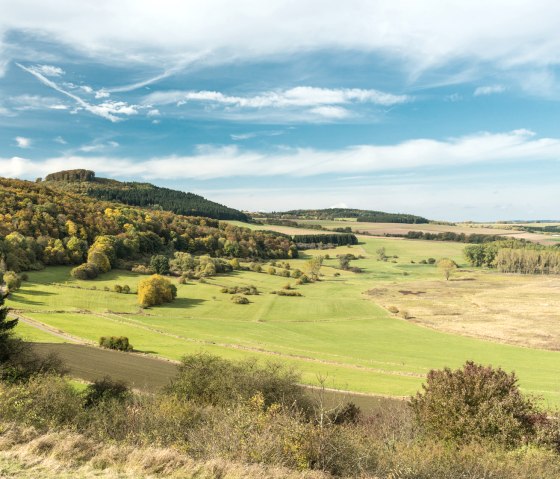 Mineralquellen-Route: Dreiser Weiher, © Eifel Tourismus GmbH/D. Ketz