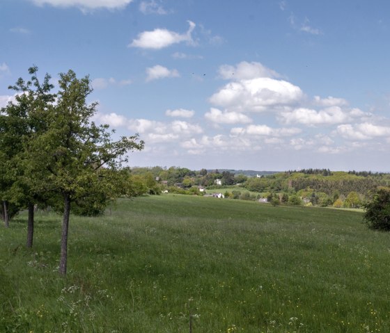 Eifelspur-Kneippwanderweg - Blick auf den Bad Münstereifeler Wald, © Nordeifel Tourismus GmbH