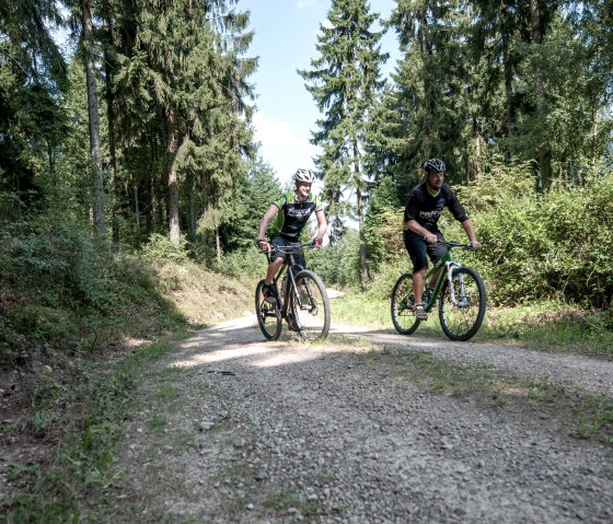 Mountainbike Fahrer, © Kreis Düren - Freifahrt Eifel