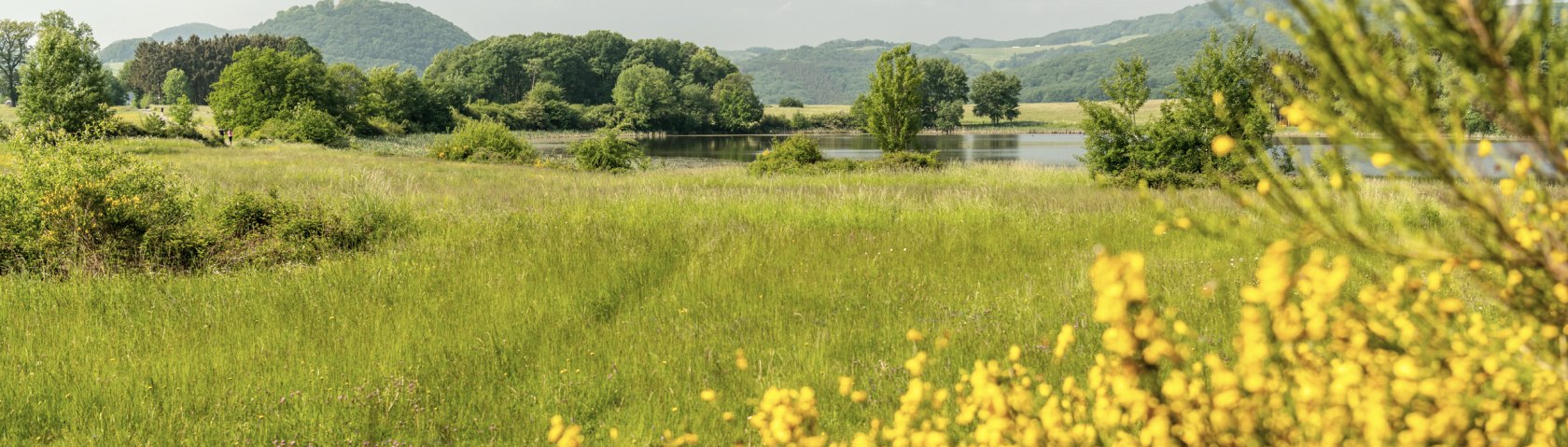 Blick auf das Roddermaar bei Niederdürenbach, ©  Eifel Tourismus GmbH, Dominik Ketz 