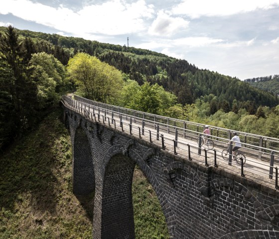 Radtour über Viadukt bei Daun am Maare-Mosel-Radweg, © Eifel Tourismus GmbH, D. Ketz