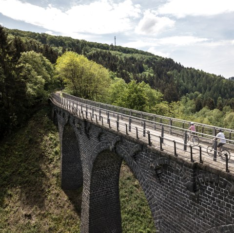 Radtour über Viadukt bei Daun am Maare-Mosel-Radweg, © Eifel Tourismus GmbH, D. Ketz