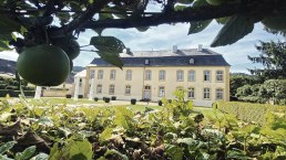 Außenansicht Schloss Niederweis, © Felsenland Südeifel Tourismus GmbH, AC Krebs