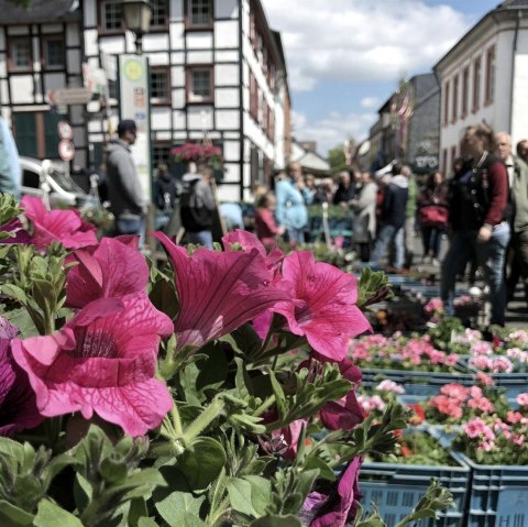 Blumen-, Kleintier- und Bauernmarkt, © Vereinskartell Kommern